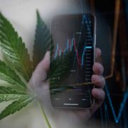 Are These The Best Canadian Marijuana Stocks To Buy In 2022?