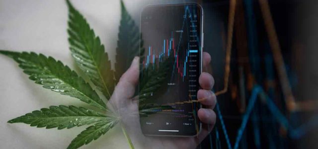 Are These The Best Canadian Marijuana Stocks To Buy In 2022?