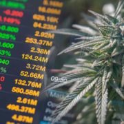 Best Canadian Marijuana Stocks For Your January 2022 Watchlist Right Now