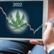 Best Cannabis Stocks To Buy In 2022? 2 US Marijuana Stocks To Watch Right Now