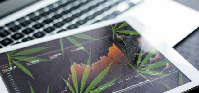 Best Marijuana Stocks To Watch Under $2 Right Now