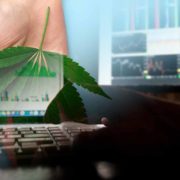 Canadian Cannabis Stocks On The Nasdaq For Reddit Investors