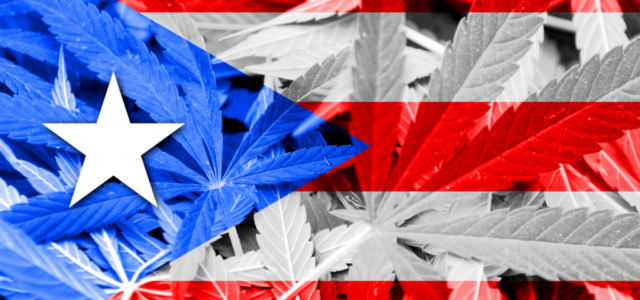 Cannabis Can Help Puerto Rico’s Economy Recover