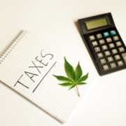 Current and Future Cannabis Taxes