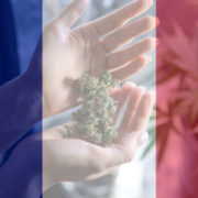 French Cannabis Industry Awaits Court Decision On Status Of CBD Flowers This Week