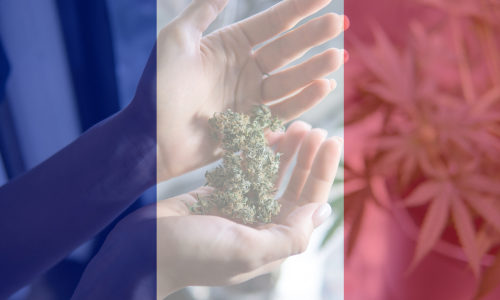 French Cannabis Industry Awaits Court Decision On Status Of CBD Flowers This Week