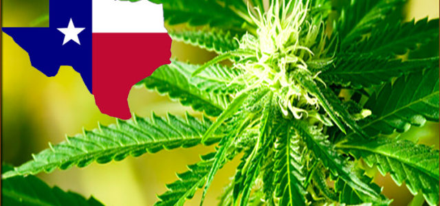 Lawmakers In Texas Are Working To Pass A Proposal To Decriminalize Marijuana
