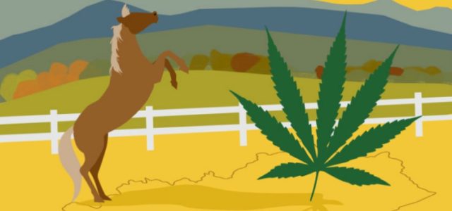 Legalizing Cannabis In Kentucky Finds More Support From Republicans