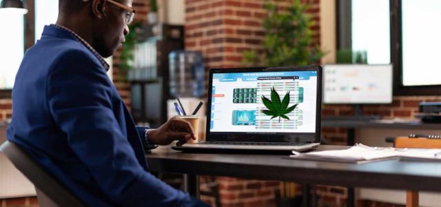 Looking For Marijuana Stocks To Buy Right Now? 2 To Watch Before Next Week