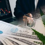 Looking For Top Marijuana Stocks To Buy In January? 3 For Your List Next Week