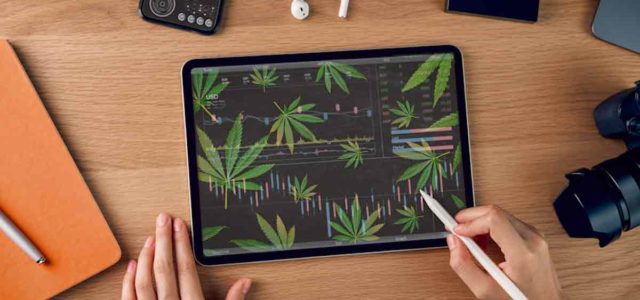 Marijuana Stocks To Buy While The Sector Is Down? 2 With Analysts Giving Higher Price Targets