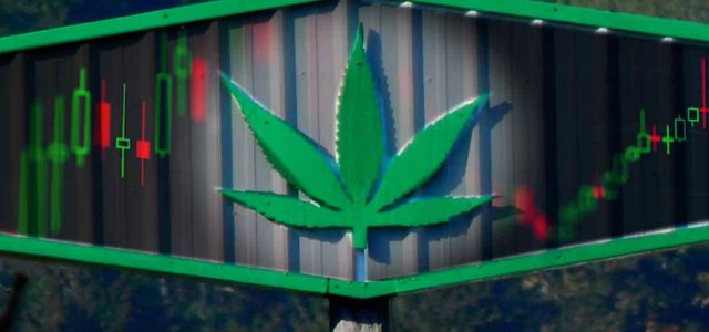 Marijuana Stocks To Keep An Eye On This Year