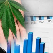 Marijuana Stocks To Keep On Your Radar This Year