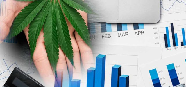 Marijuana Stocks To Keep On Your Radar This Year