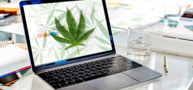 Marijuana Stocks To Watch In 2022 That May End Up In Your Portfolio