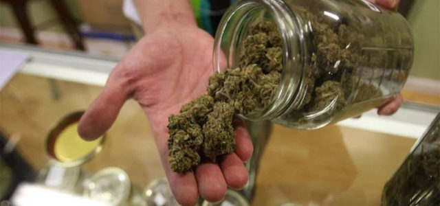 Monthly Cannabis Sales See New Highs In These 2 States