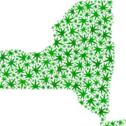 New York Cannabis: State of the State