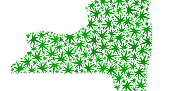 New York Cannabis: State of the State