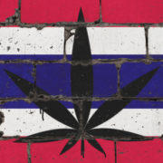 Thailand Gives Green Light to Growing Cannabis at Home