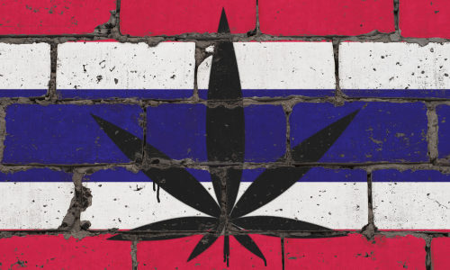 Thailand Gives Green Light to Growing Cannabis at Home