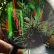 The Best US Marijuana Stocks To Watch In 2022 Right Now