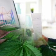 These Marijuana Stocks To Watch Could Be The Ones You Need In 2022