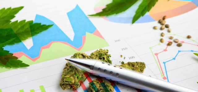 Top Marijuana Penny Stocks To Watch Right Now In 2022