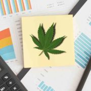 Top Marijuana Stocks To Buy Before February? 4 To Add to You Watchlist Right Now