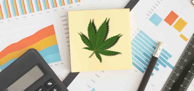 Top Marijuana Stocks To Buy Before February? 4 To Add to You Watchlist Right Now
