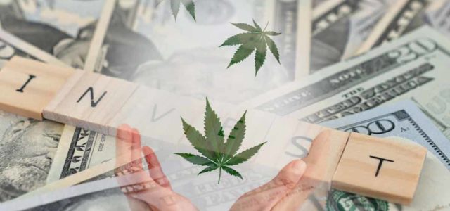 Top Marijuana Stocks To Buy Right Now? 2 For Your January List