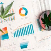 Top Marijuana Stocks To Buy This Week? 2 To Watch In Current Downside