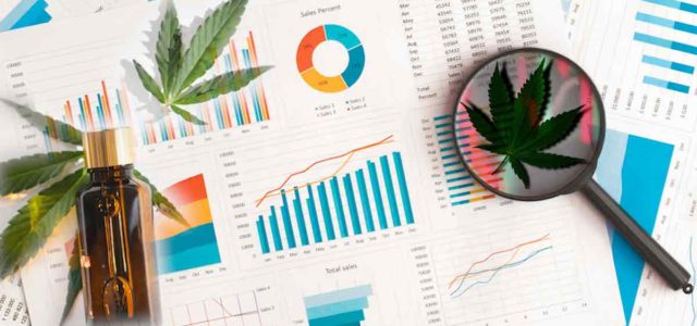 Top Marijuana Stocks To Buy This Week? 2 To Watch In Current Downside