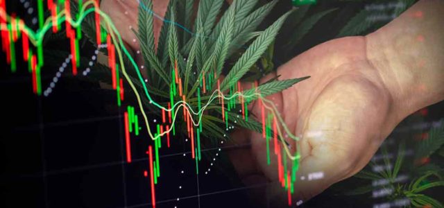 Top Marijuana Stocks You Should Know About In 2022