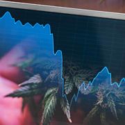 Top US Marijuana Stocks To Watch Right Now? 2 For Your List Before February