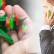 US Pot Stocks For 2022 Cannabis Investors Right Now