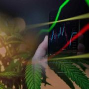 2 Marijuana Stocks To Watch After Presidents Day