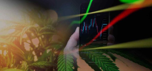 2 Marijuana Stocks To Watch After Presidents Day