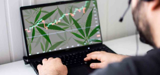 2 Marijuana Stocks To Watch The First Week Of February 2022