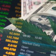 2 Top Marijuana Stocks To Watch As The Market Catches More Momentum