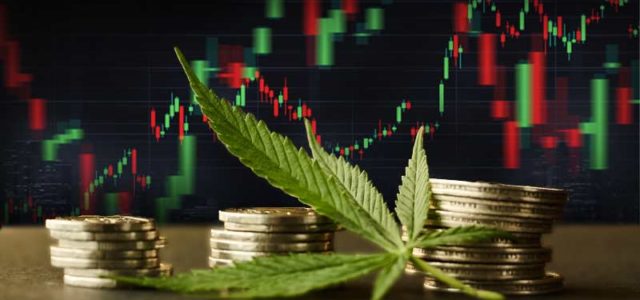 3 Marijuana Stocks For Your February Watchlist