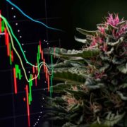 3 Marijuana Stocks To Watch To Close Out The Week