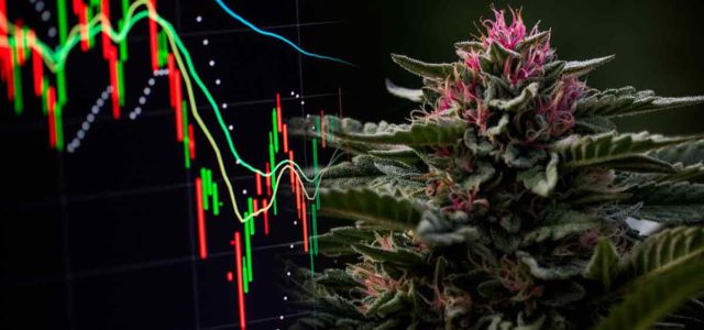 3 Marijuana Stocks To Watch To Close Out The Week