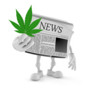 Are the editors high? Why trendy news features on pot are a bad idea