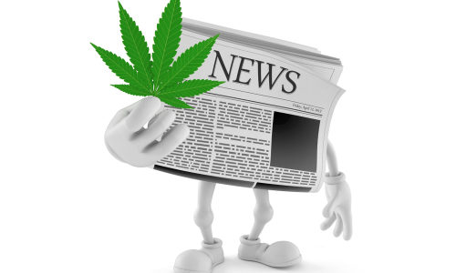 Are the editors high? Why trendy news features on pot are a bad idea