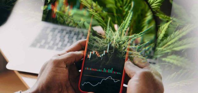Are These Marijuana Stocks A Buy In 2022?