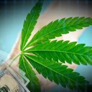 Best Marijuana Stocks To Watch? 3 For Your Investment Portfolio