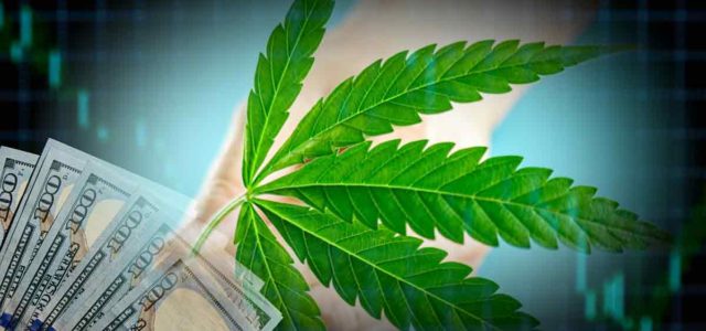 Best Marijuana Stocks To Watch? 3 For Your Investment Portfolio