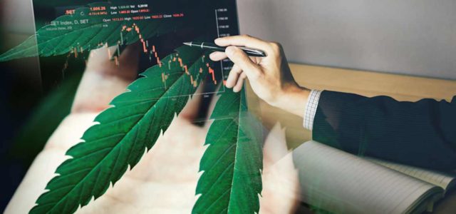 Best US Marijuana Stocks For You List Right Now