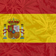 Cannabis Legalization in Spain: Legislative Update