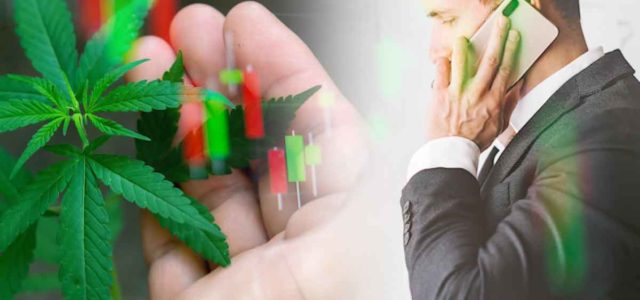 Looking For Long Term Investments In Cannabis Stocks? 3 For Your List For 2022